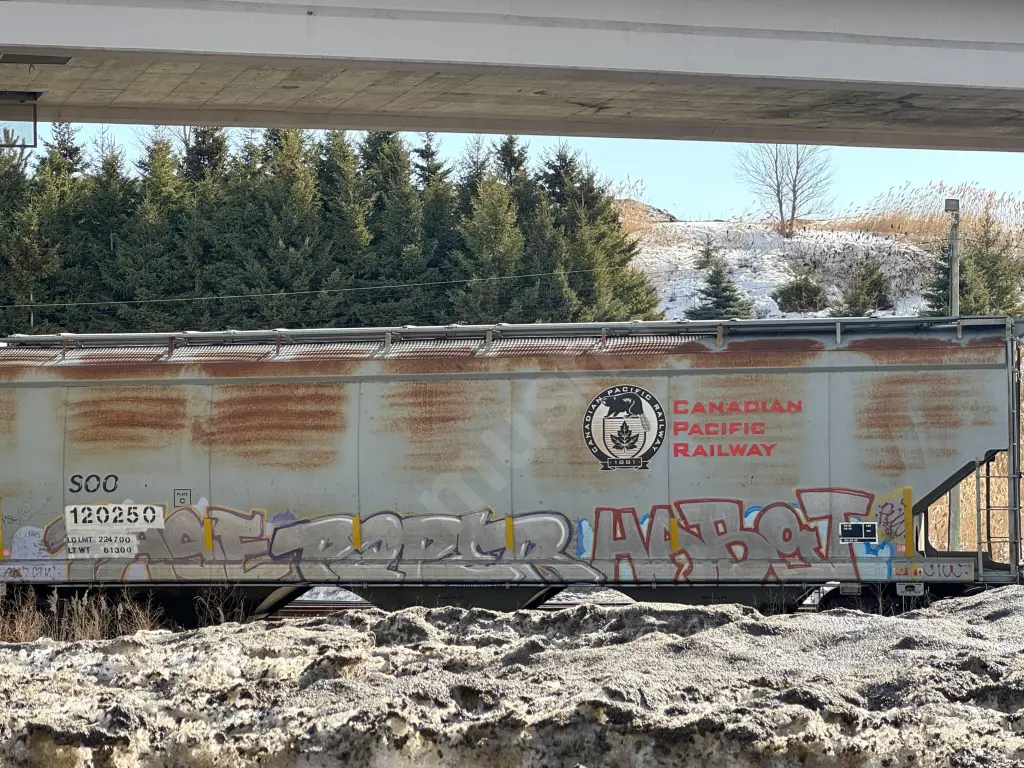 SOO120250 - NORTH-AMERICA