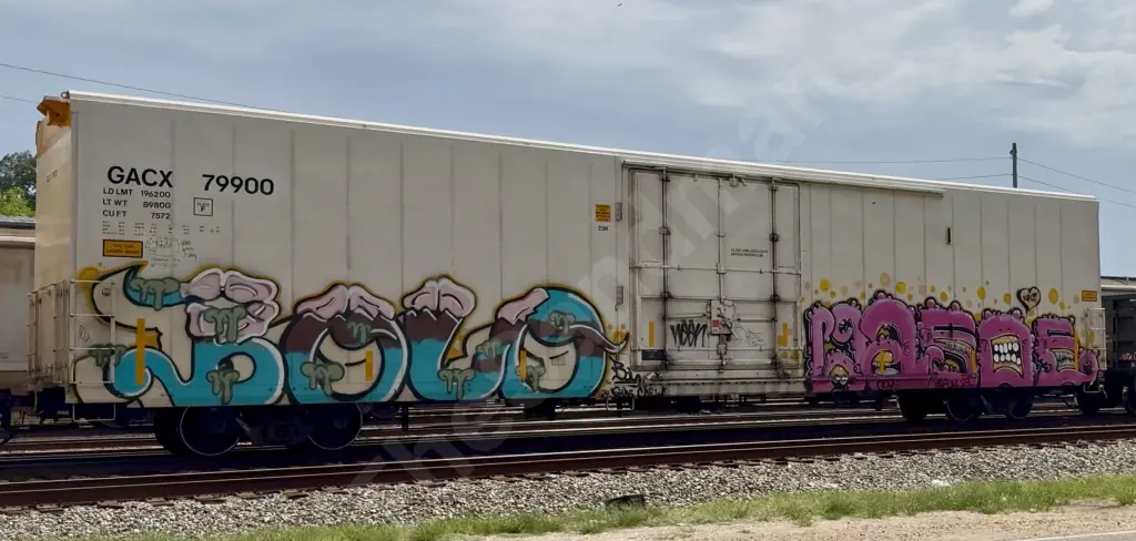 GACX79900 - NORTH-AMERICA