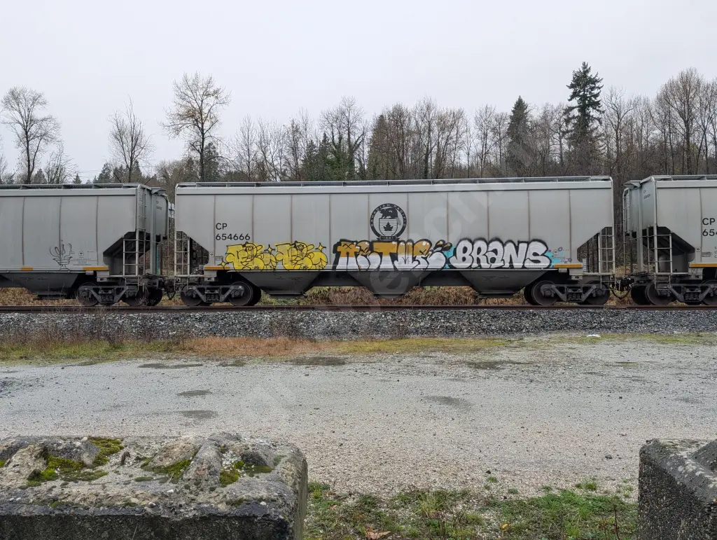 CP654666 - NORTH-AMERICA