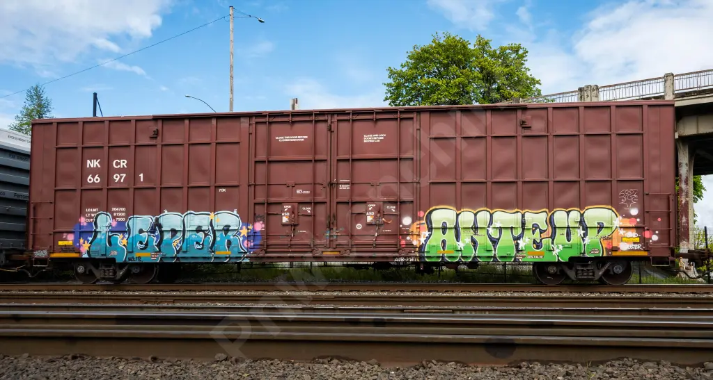 NKCR66971 - NORTH-AMERICA