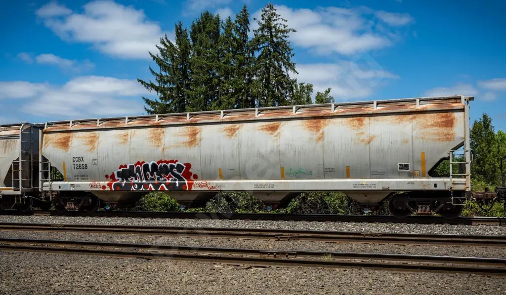 CCBX72658 - NORTH-AMERICA