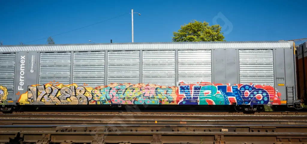 TTGX825037 - NORTH-AMERICA
