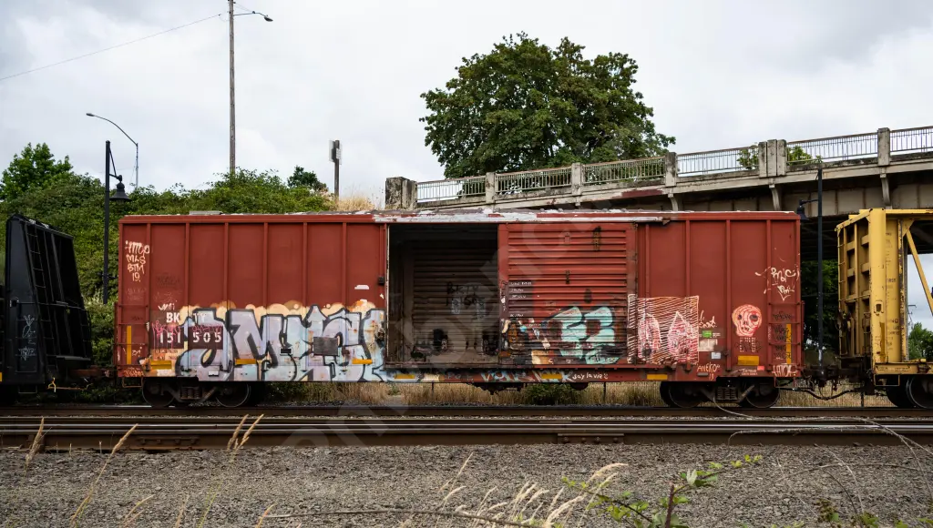 BKTY151505 - NORTH-AMERICA