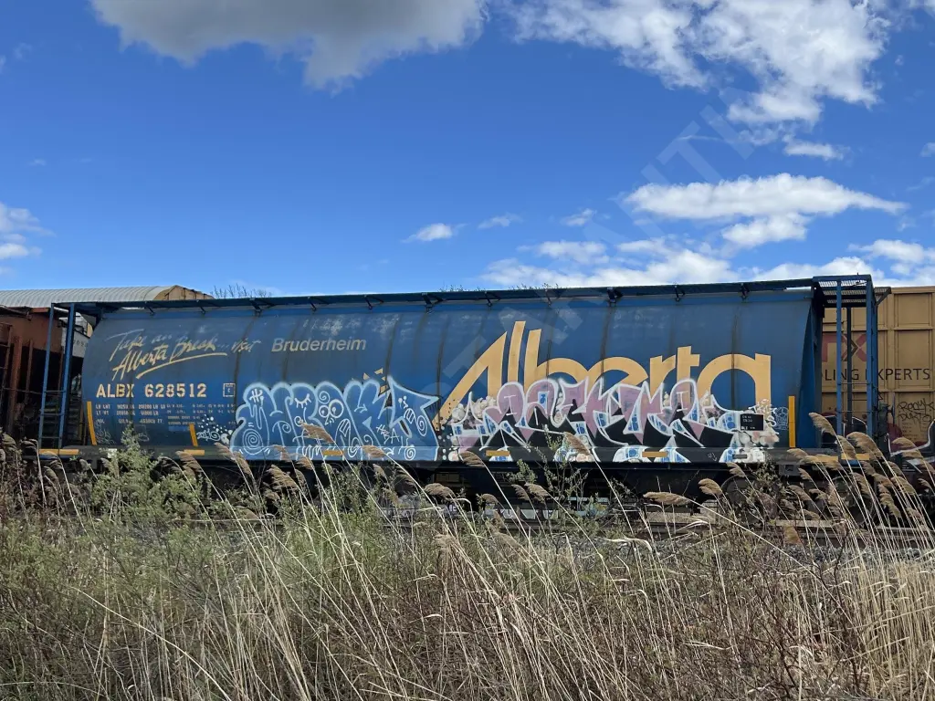 ALBX628512 - NORTH-AMERICA