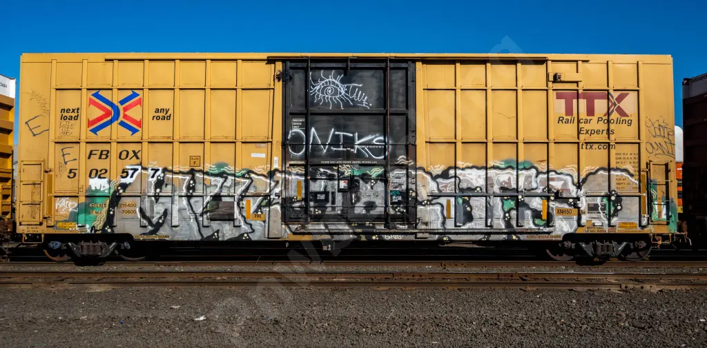 FBOX502577 - NORTH-AMERICA