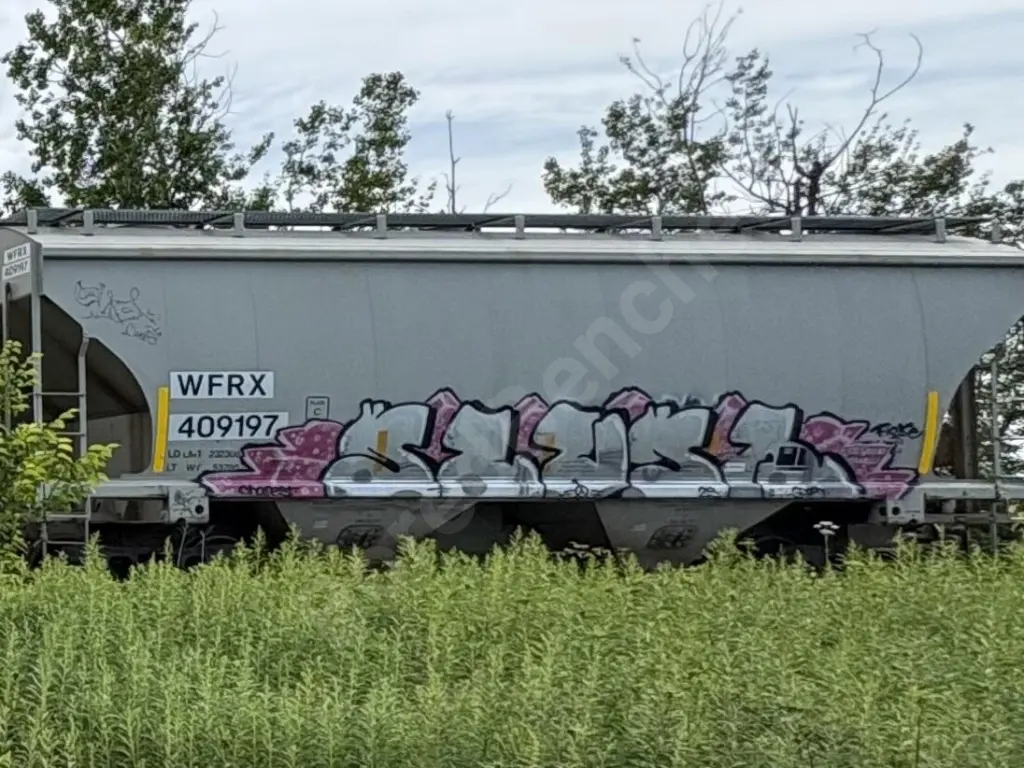 WFRX409197 - NORTH-AMERICA