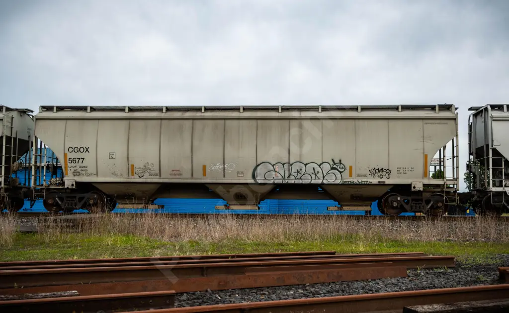 CGOX5677 - NORTH-AMERICA