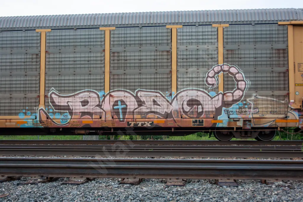 TTGX987750 - NORTH-AMERICA