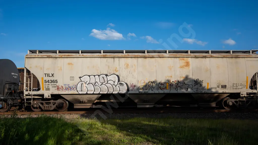 TILX54365 - NORTH-AMERICA
