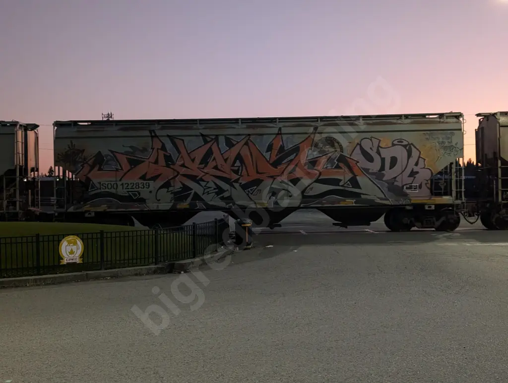 SOO122839 - NORTH-AMERICA