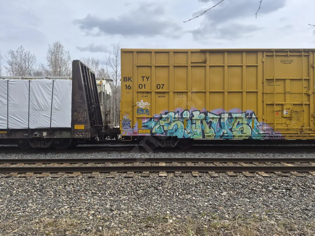 BKTY160107 - NORTH-AMERICA