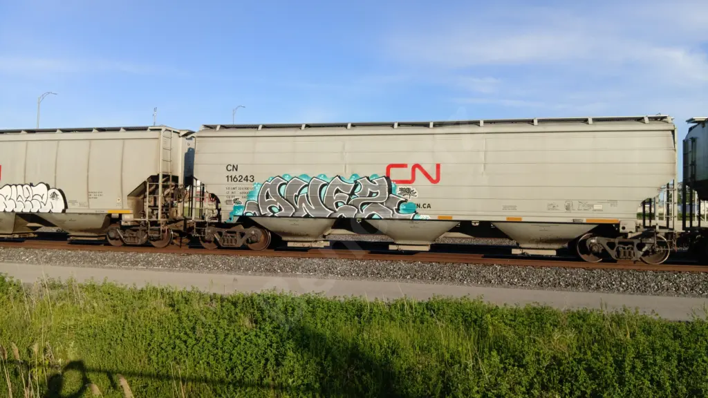CN116243 - NORTH-AMERICA