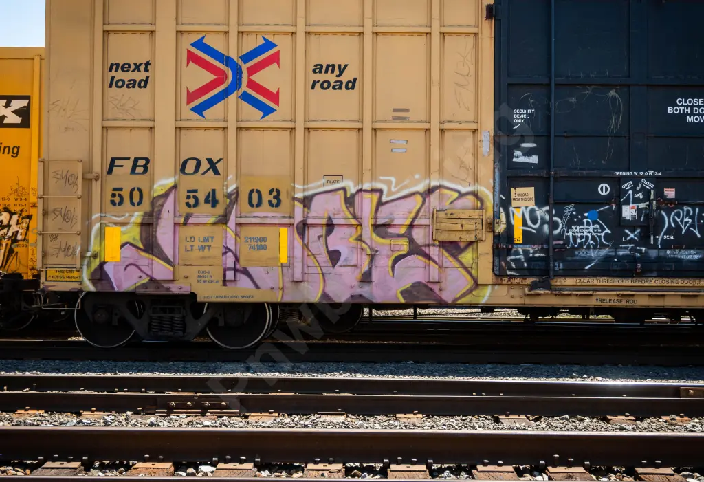 FBOX505403 - NORTH-AMERICA