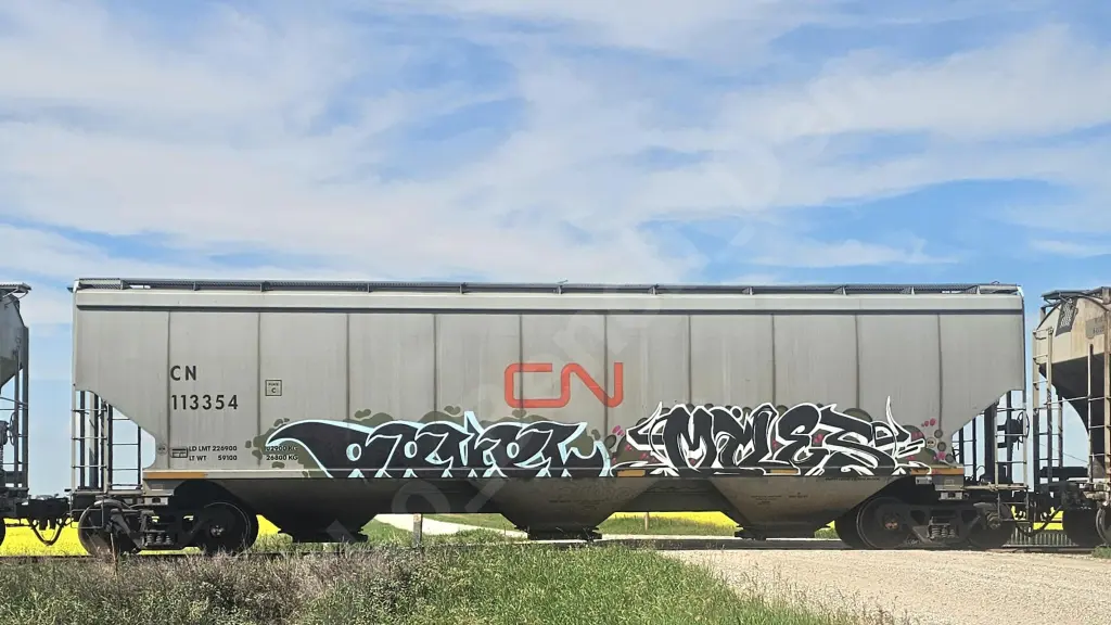CN113354 - NORTH-AMERICA