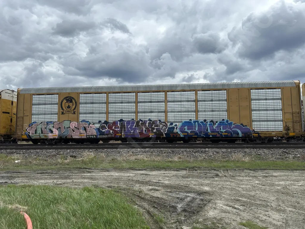 TTGX822589 - NORTH-AMERICA