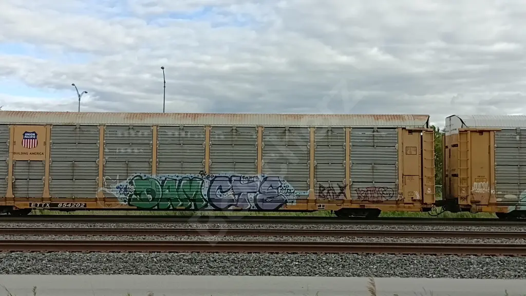 ETTX854202 - NORTH-AMERICA