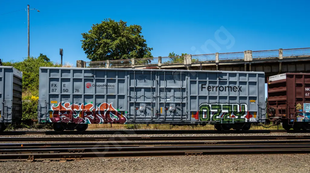 FXE875076 - NORTH-AMERICA