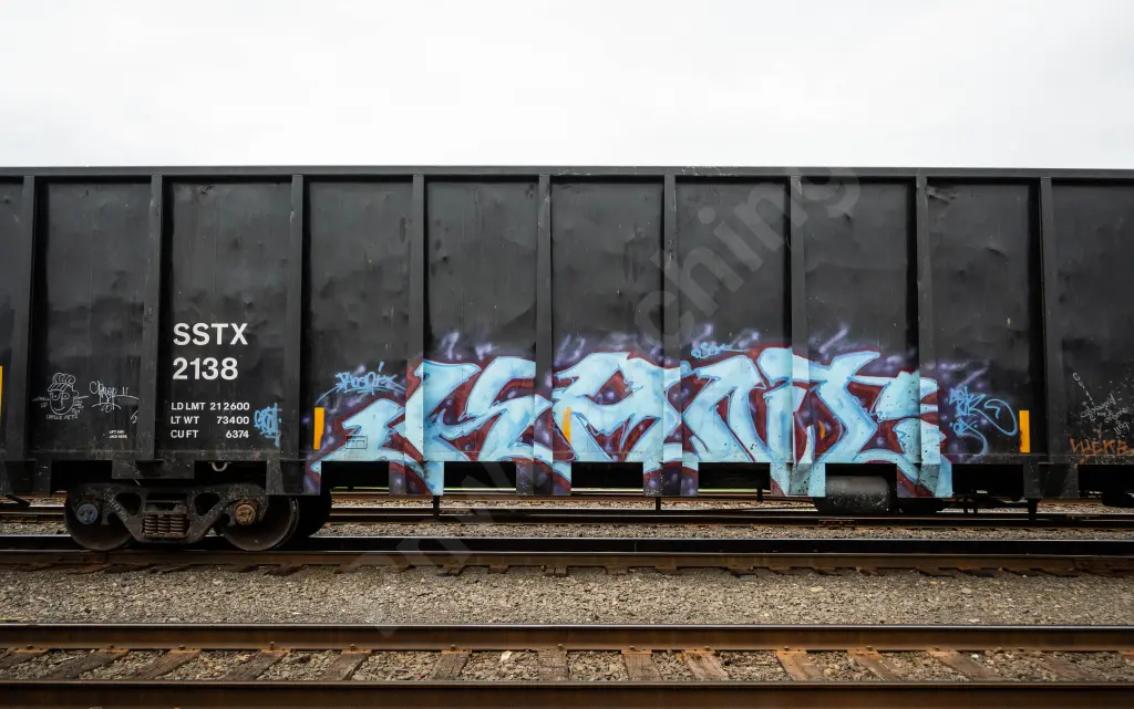 SSTX2138 - NORTH-AMERICA