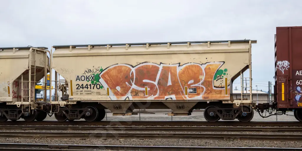 AOK244170 - NORTH-AMERICA