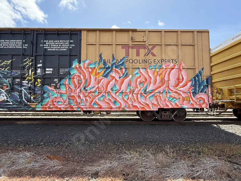 Train photo