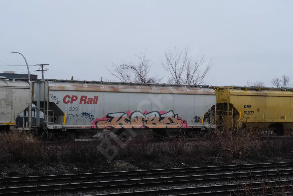SOO115990 - NORTH-AMERICA