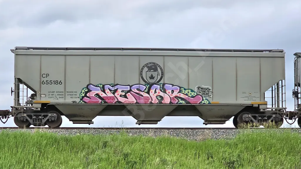 CP655186 - NORTH-AMERICA