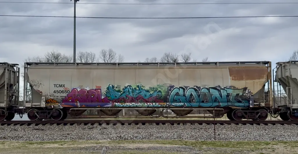TCMX450650 - NORTH-AMERICA