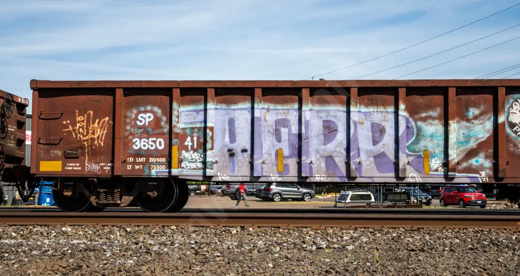 SP365041 - NORTH-AMERICA