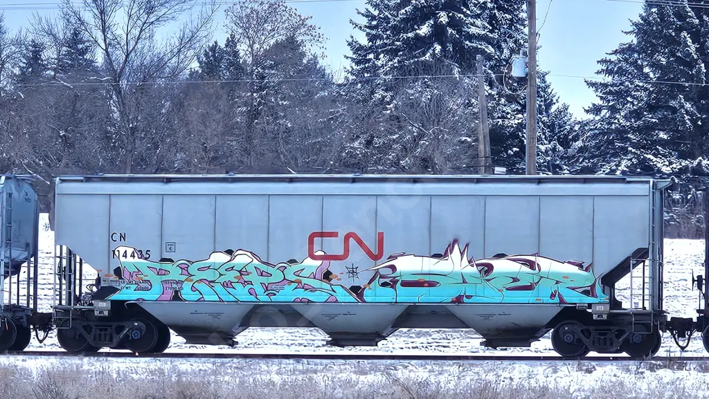 CN114435 - NORTH-AMERICA