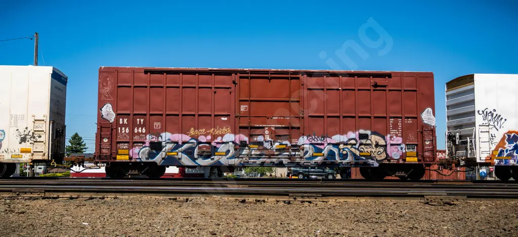 BKTY156646 - NORTH-AMERICA