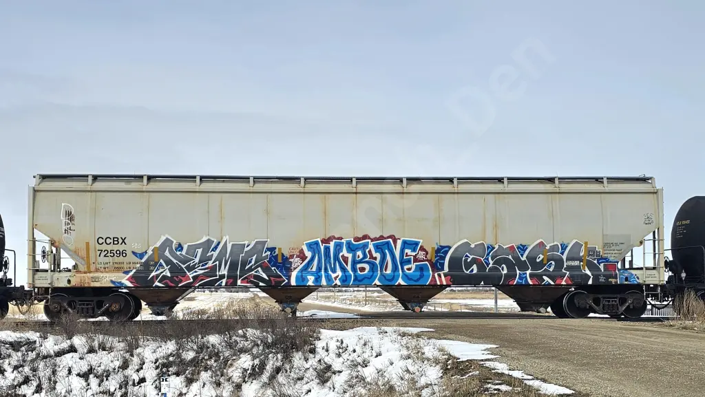 CCBX72596 - NORTH-AMERICA