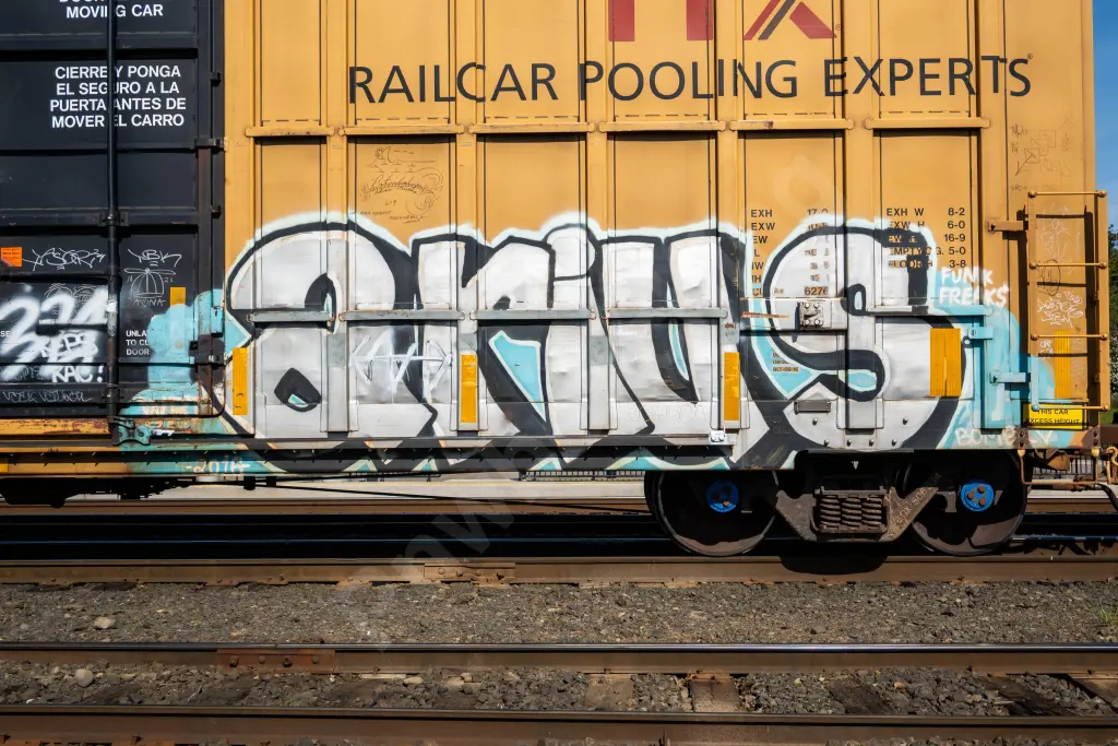 FBOX506534