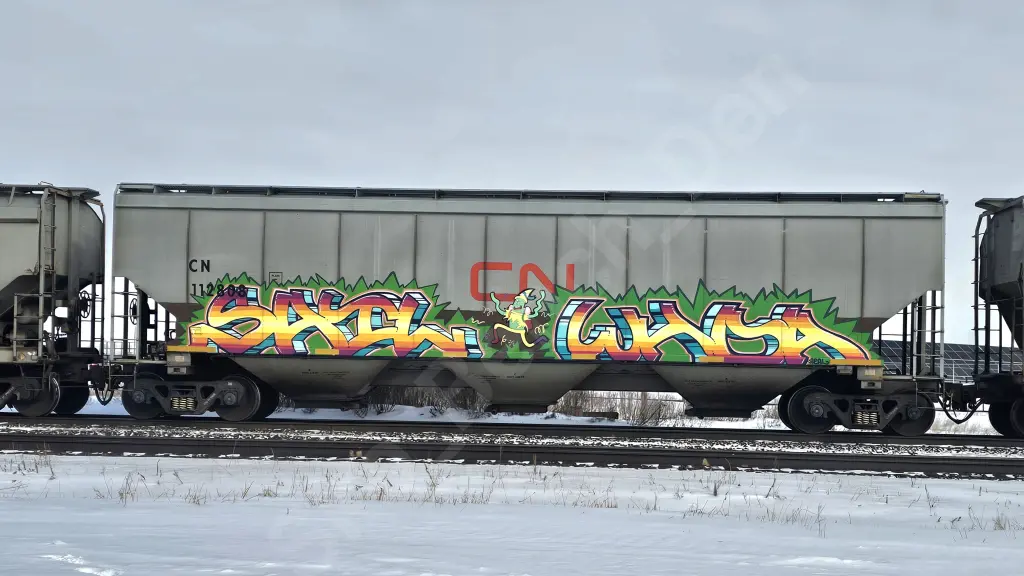 CN112808 - NORTH-AMERICA