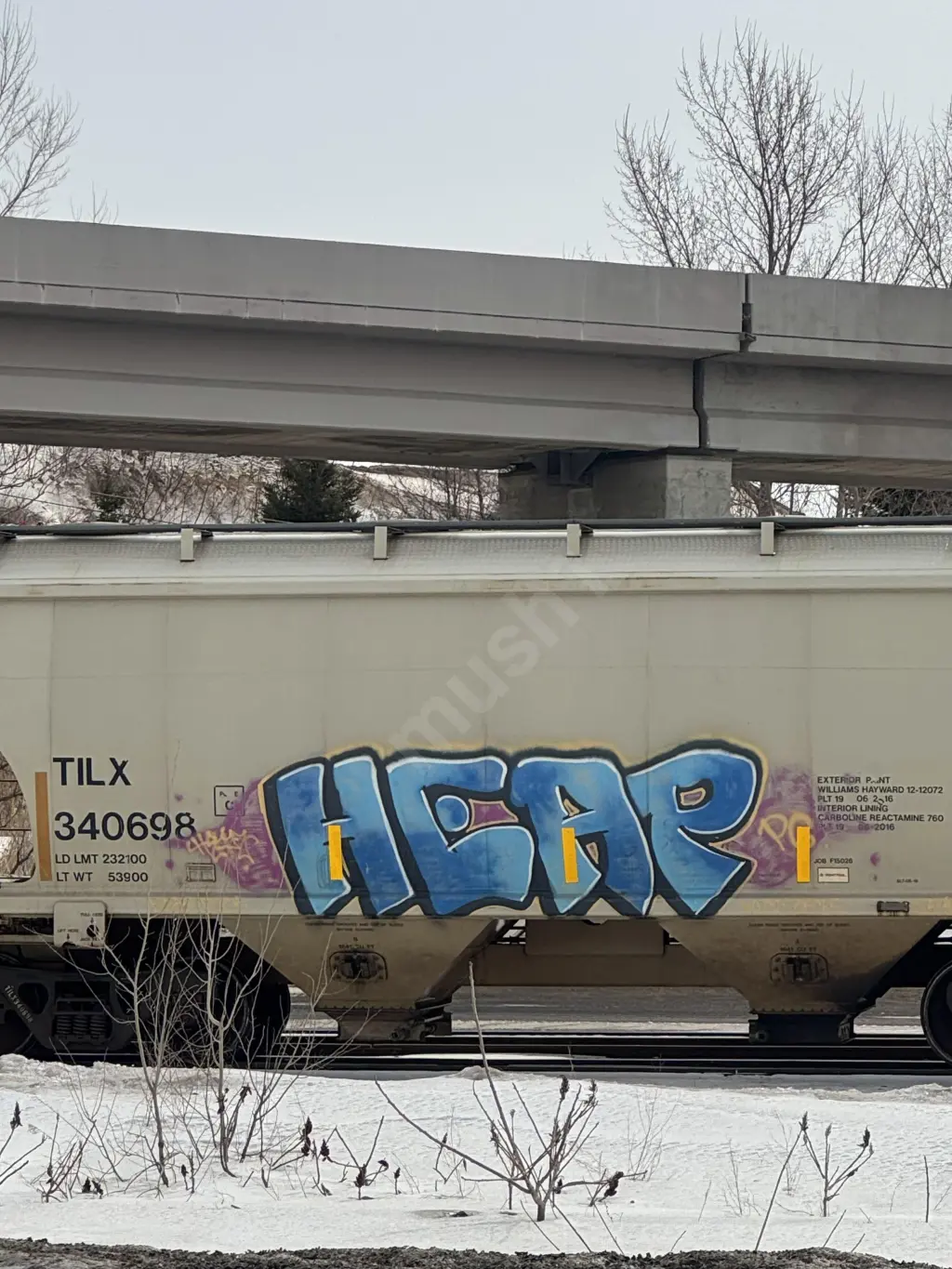 TILX340698 - NORTH-AMERICA