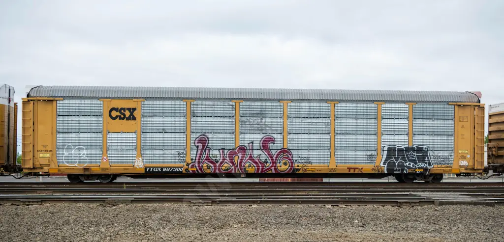 TTGX987300 - NORTH-AMERICA