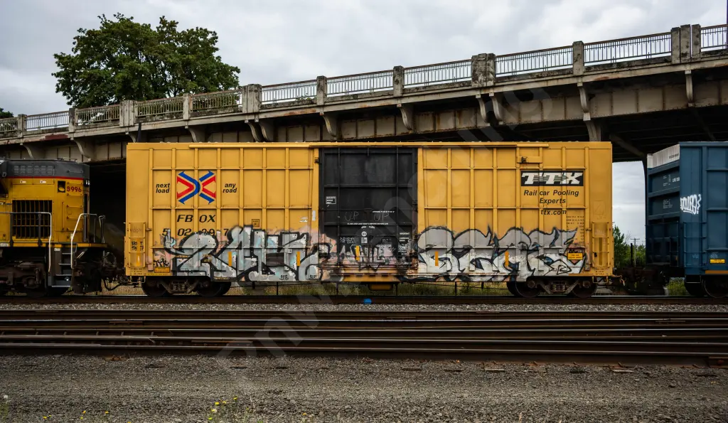 FBOX502397 - NORTH-AMERICA