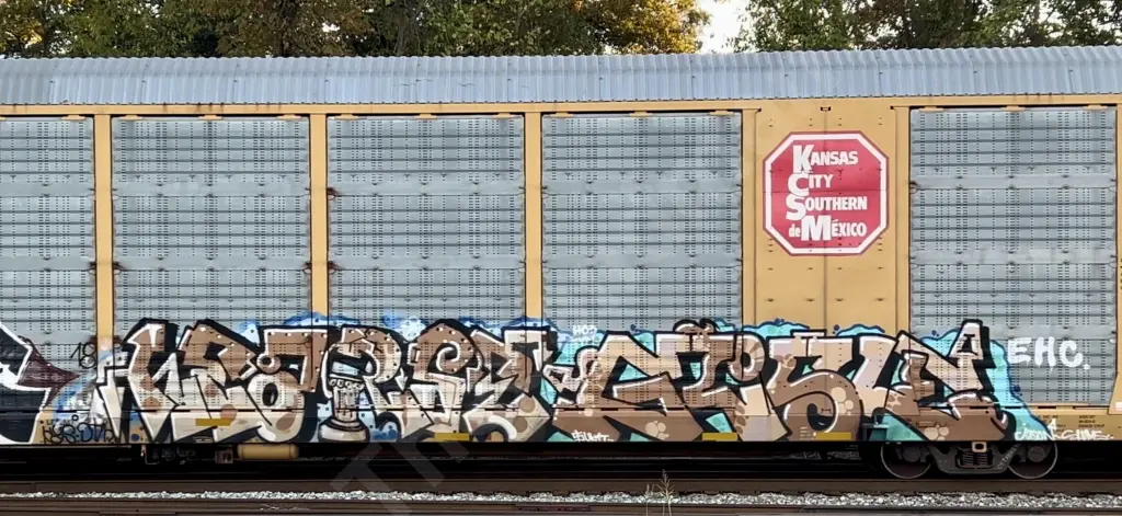 CTTX695113 - NORTH-AMERICA
