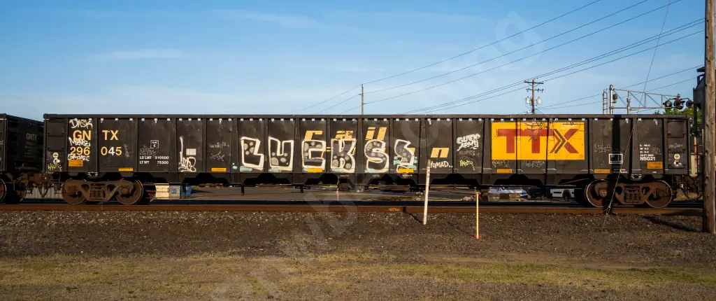 GNTX296045 - NORTH-AMERICA