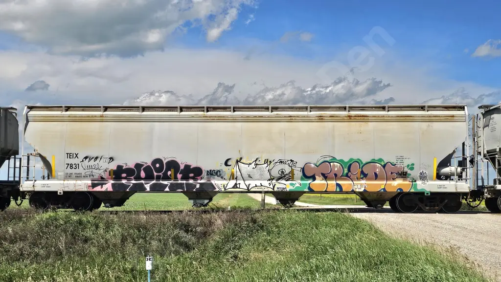 TEIX7831 - NORTH-AMERICA