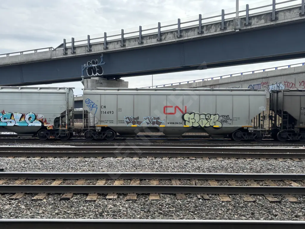 CN114493 - NORTH-AMERICA