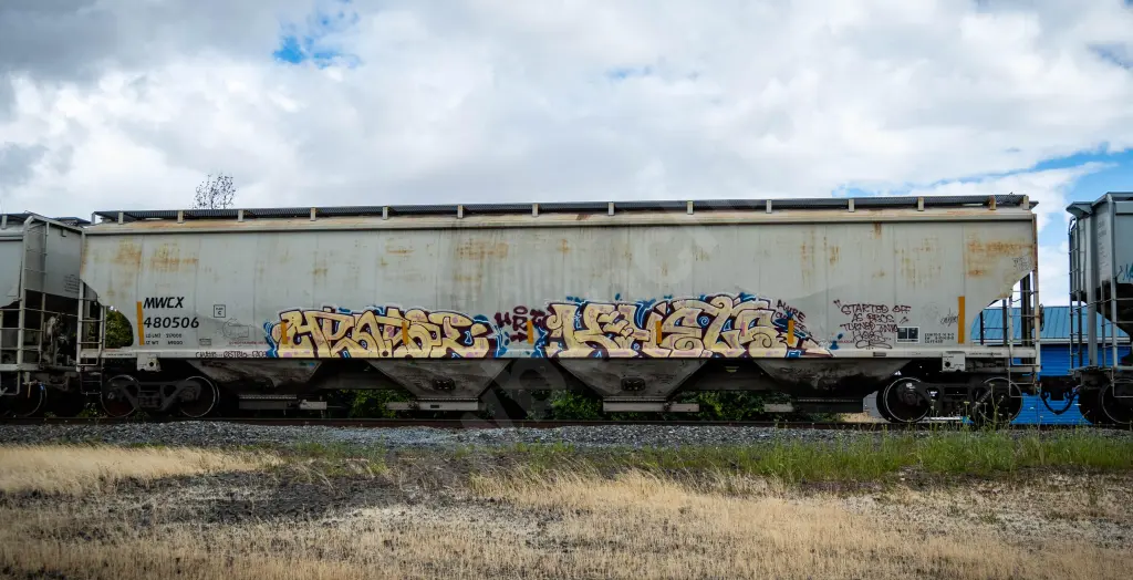 MWCX480506 - NORTH-AMERICA