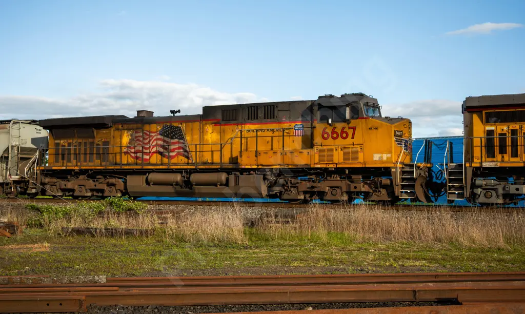 UP6667 - NORTH-AMERICA