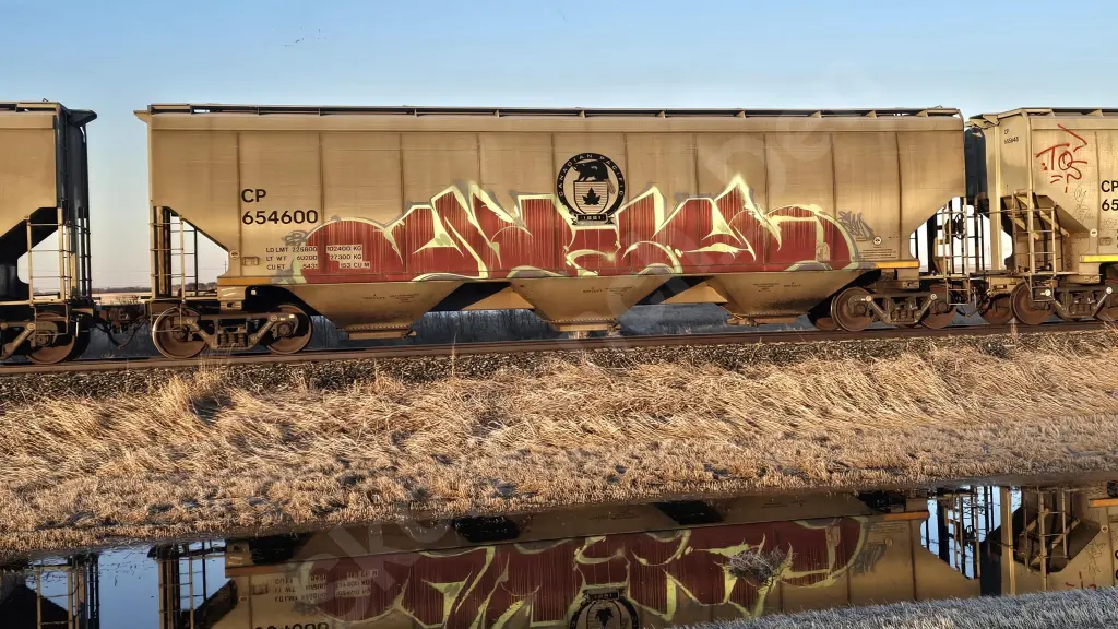 CP654600 - NORTH-AMERICA