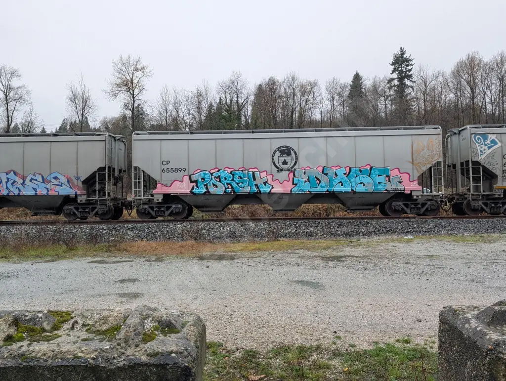 CP655899 - NORTH-AMERICA