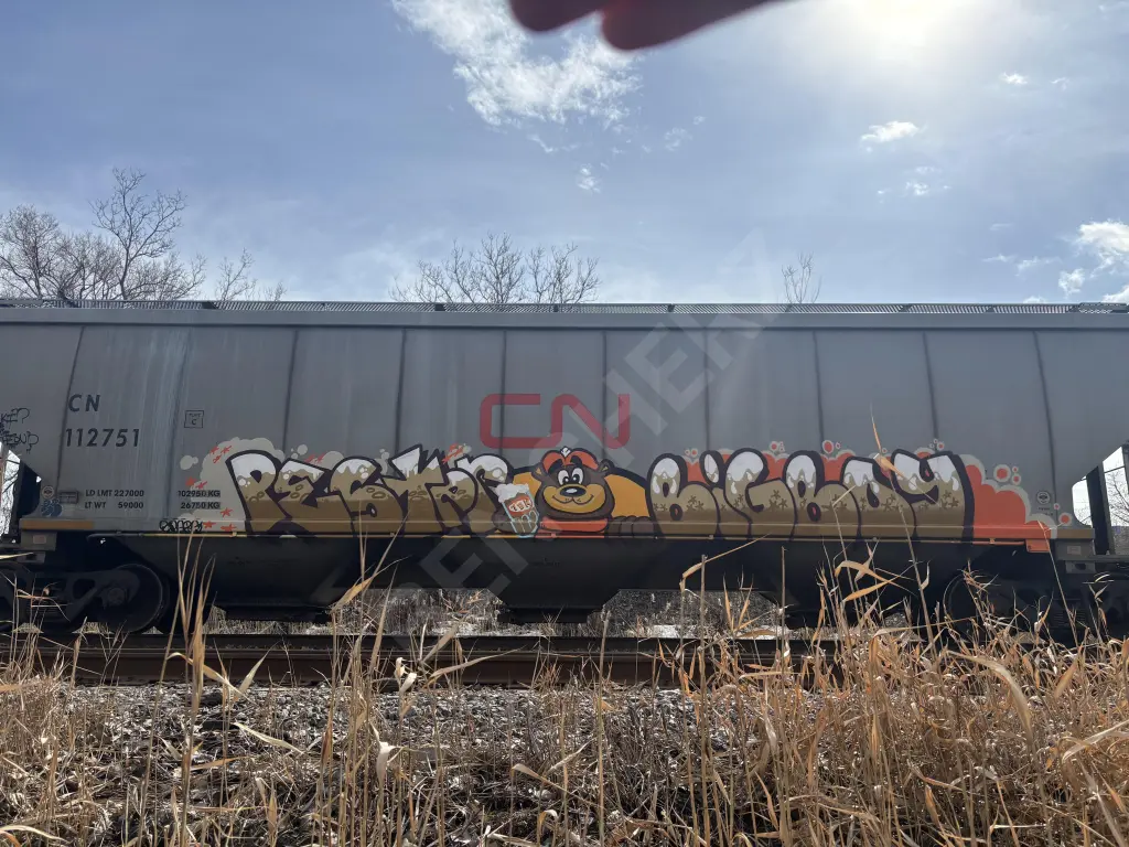 Train photo