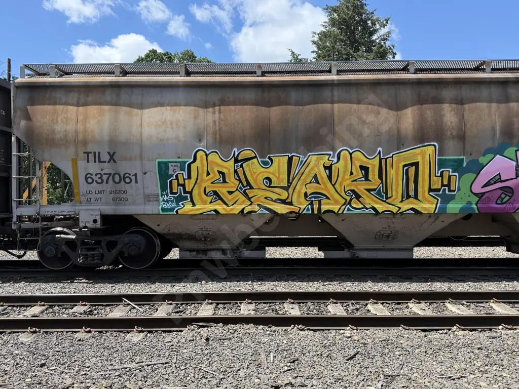 TILX637061 - NORTH-AMERICA