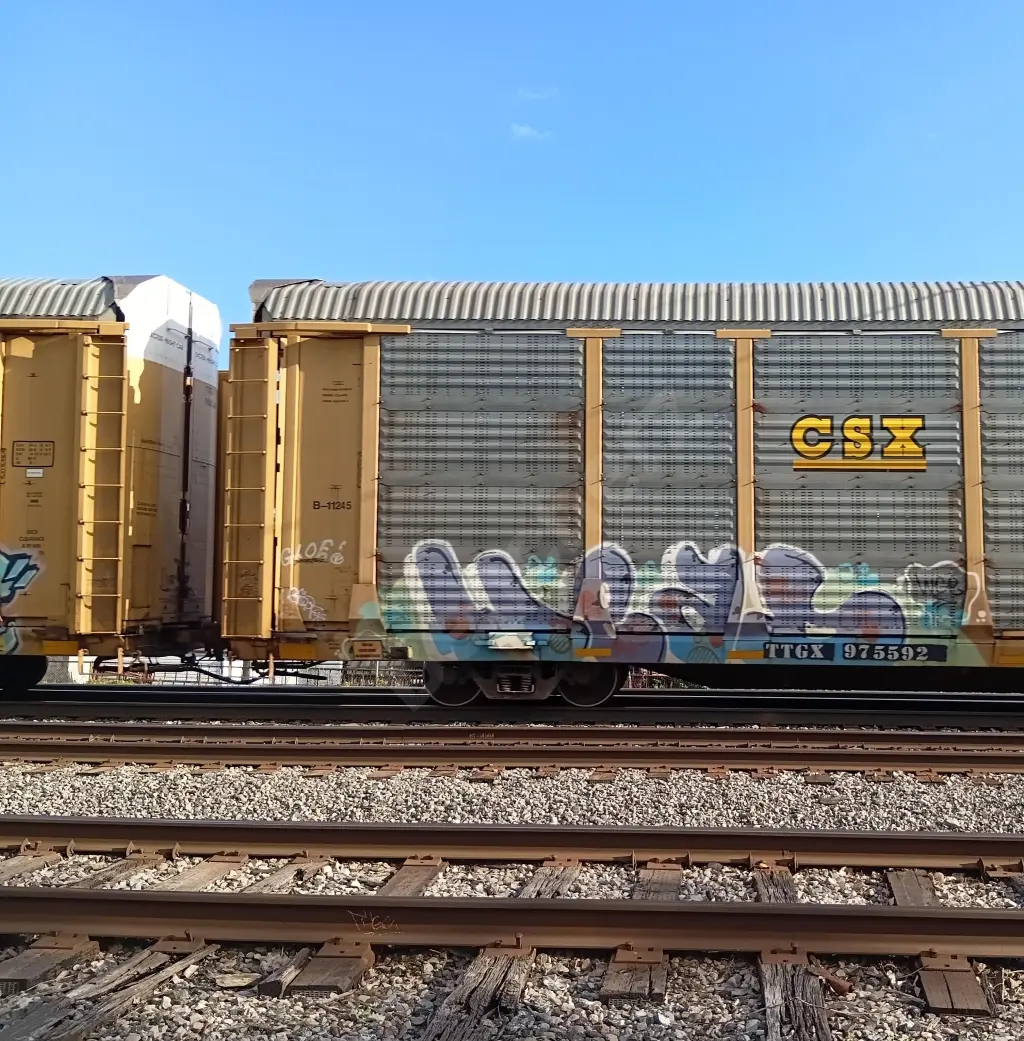 TTGX975592 - NORTH-AMERICA
