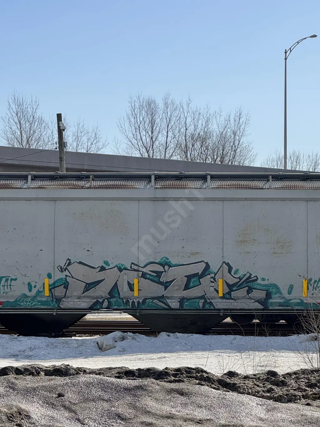 SOO119013 - NORTH-AMERICA