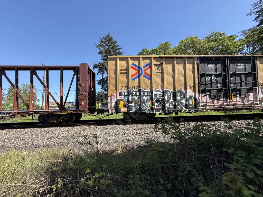 TBOX663665 - NORTH-AMERICA