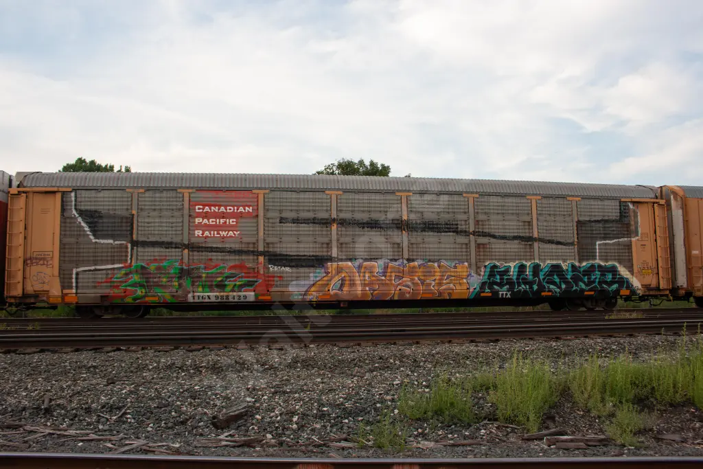 TTGX988429 - NORTH-AMERICA